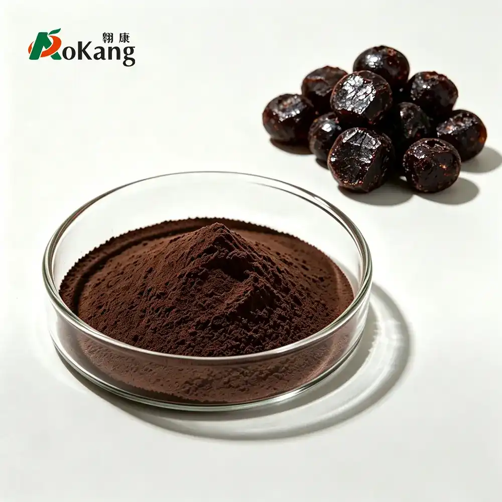 Shilajit Extract Powder